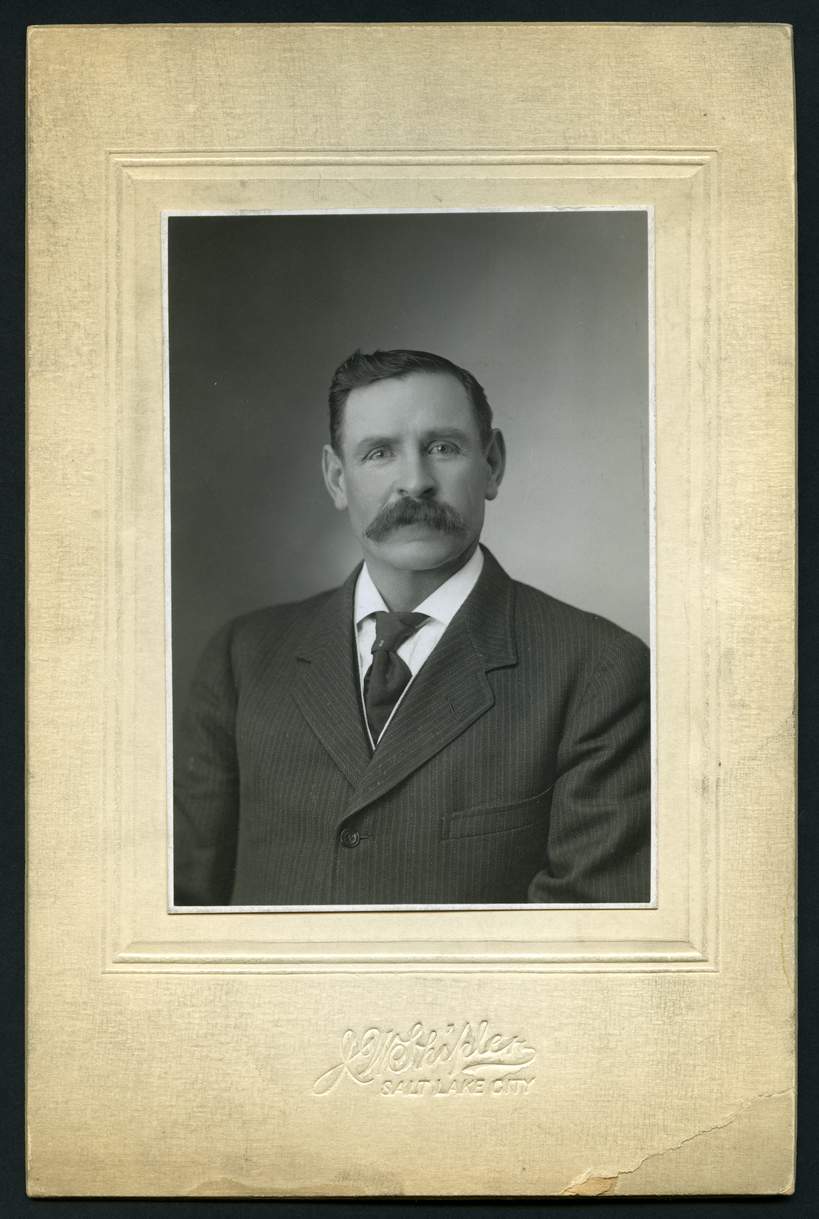 Brigham Andrus Hendricks (1857 - 1925) Profile